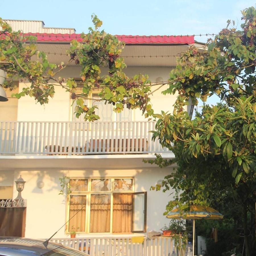 Гостевой дом Romashka Guest house Сухум-33